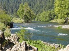 Rushing river through forest and steep cliffs. Photo by Jeff Fontana/BLM.