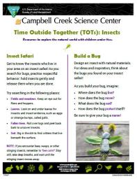 Nature Learning Insect activity for under 5 years old