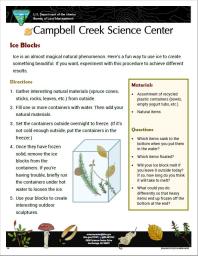 Ice Blocks Nature Learning Activity sheet