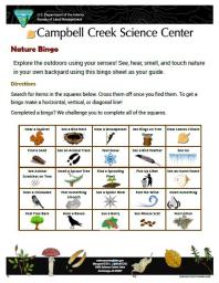 Nature Bingo Nature Learning Activity sheet