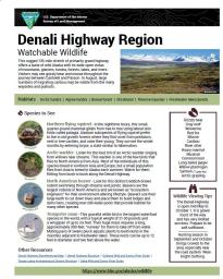 Denali Highway Watchable Wildlife Sheet