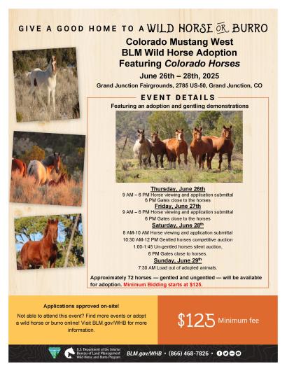 2025 Grand Junction Wild Horse Adoption Flyer
