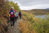 A group of hikers walks single file along a narrow dirt trail through an autumn landscape. They wear backpacks and colorful jackets in red, blue, and purple; the lead hiker carries a child in a pink backpack carrier. The trail is lined with shrubs in fall colors of yellow, orange, and red, with a lake and rolling hills visible under an overcast sky in the background.
