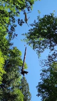 A log suspended from a helicopter. 