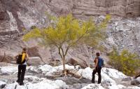 At the base of a cliff, two people look at a tree.