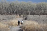 A photo showing a packed dirt path winding through the brush to a tree-lined riparian area. Two people are riding their bicycles on the path. It is fall or winter, as the brush is brown and gray, and the cottonwood trees have lost their leaves.