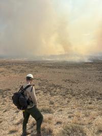 firefighter stands looking at smoke in the distance